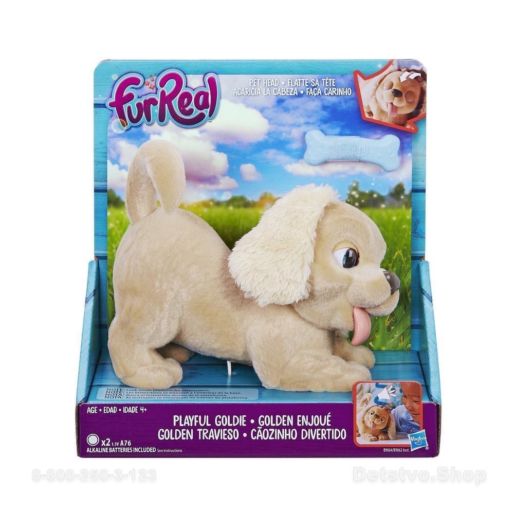 Playful goldie. Игрушки FURREAL friends щенок. FURREAL friends щенок Голди. Hasbro FURREAL friends щенок. Хасбро интерактивная собака fur real.